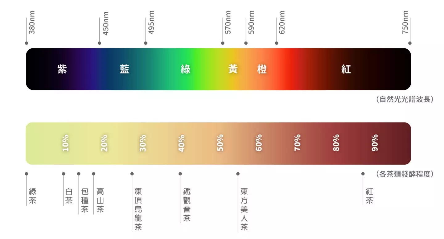 「光線波長與顏色分類」及「茶葉發酵度與茶品分類」對照圖。圖片來源：中央研究院民族學研究所博物館。